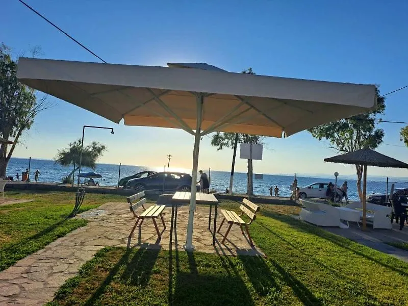 Dimitra'S Family Apartments 4 Paradisos Greece